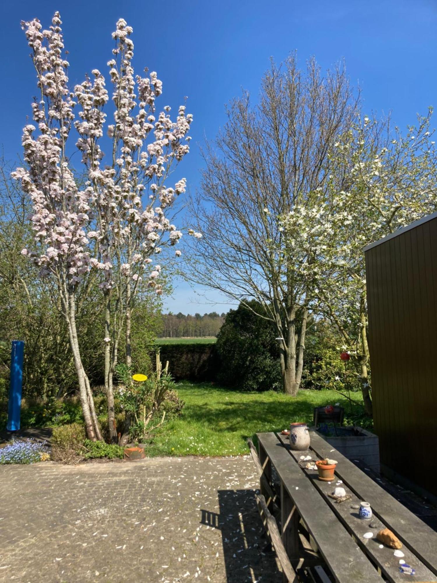 B&B Koornemoezen Zedelgem Exterior photo